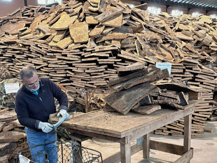 Hout uitje Lagos.webp