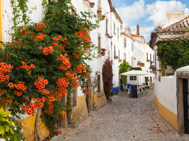 Portugal - Óbidos  - Straatbeeld