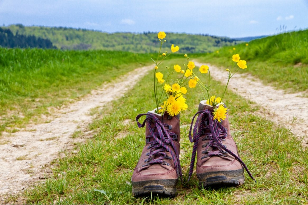 Wandelen in Zuid-Limburg, Eifel & Ardennen