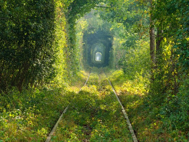 Rivne - Tunnel of Love
