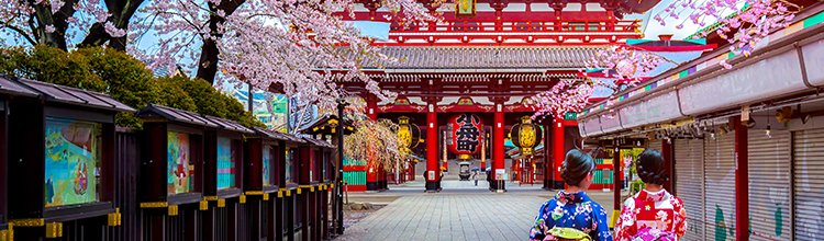 041-06 walkchallenge japan - 750x220_6.jpg