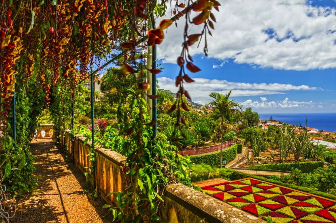Vlieg excursiereis Madeira