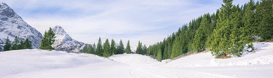 Wildermieming GIT