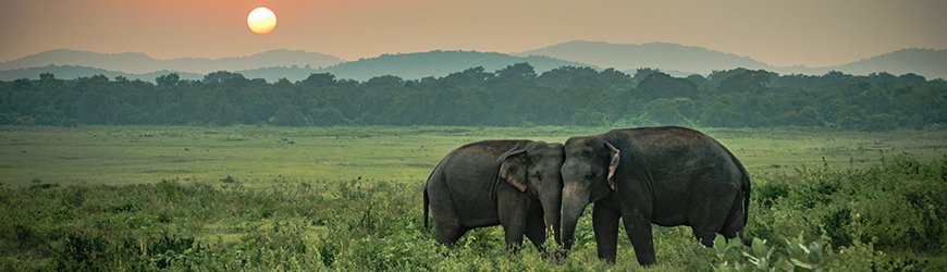 Sri Lanka GIT