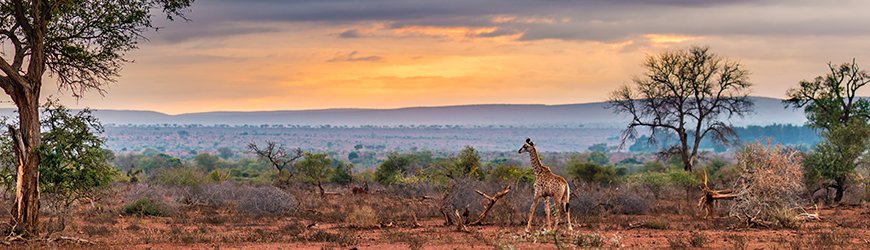 Zuid Afrika GIT