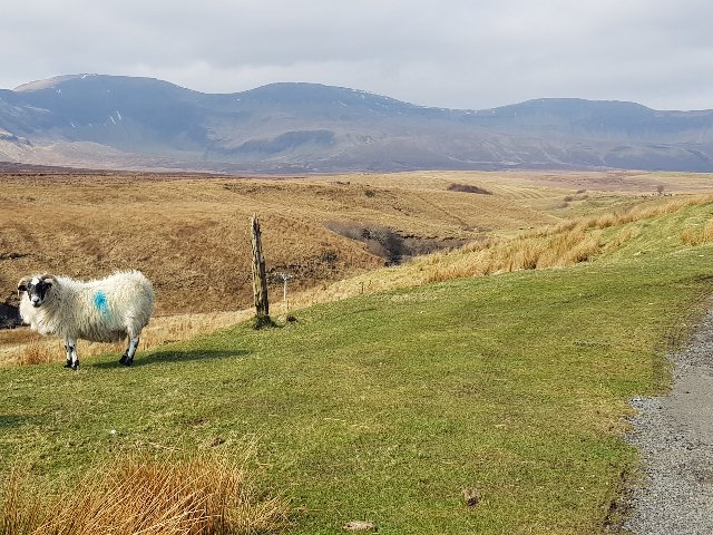 Schotland - Isle of Skye Wandeling