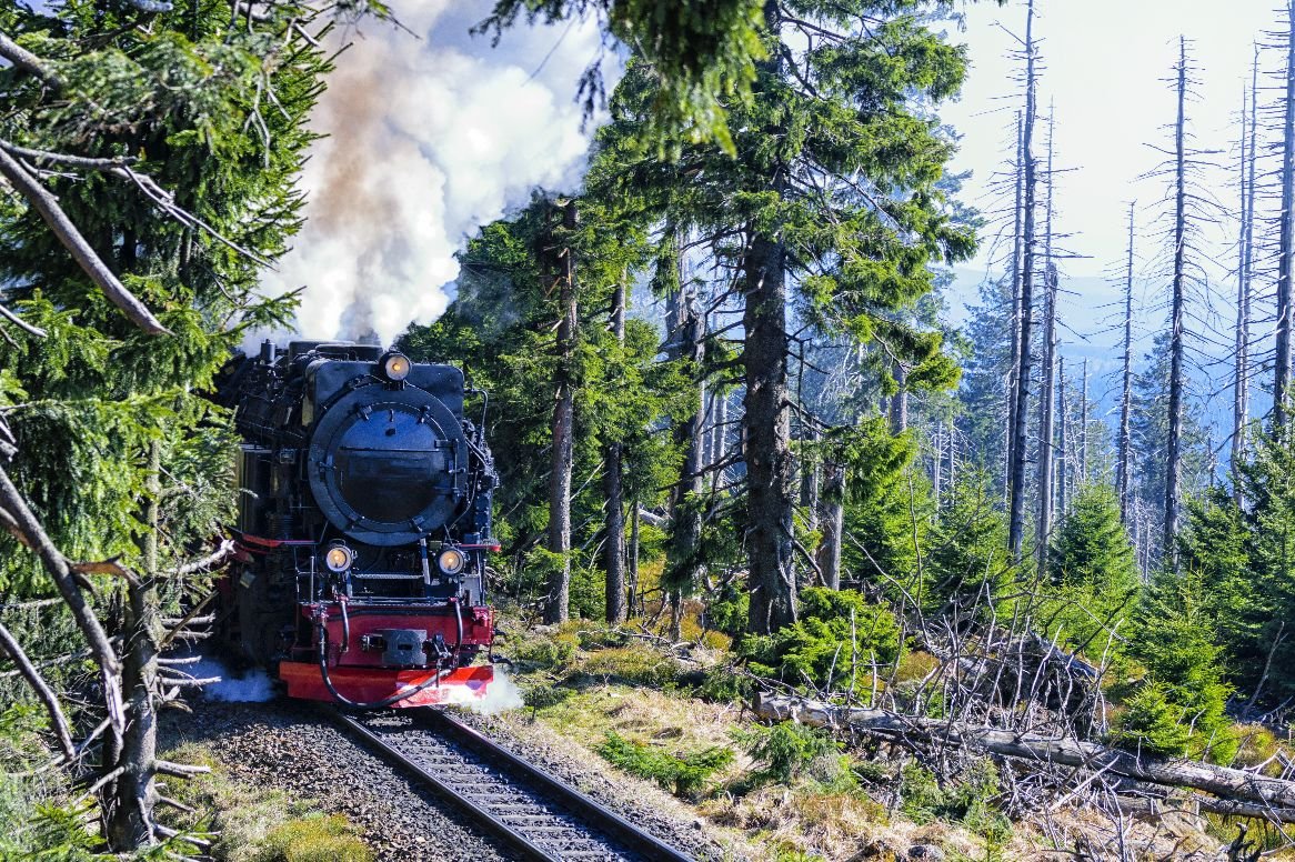 Duitsland_De Harz_Stoomtrein