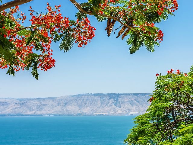 Israël - meer van Tiberias - uitzicht
