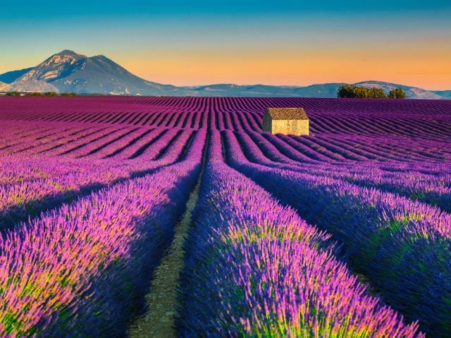 Frankrijk_Provence_landschap