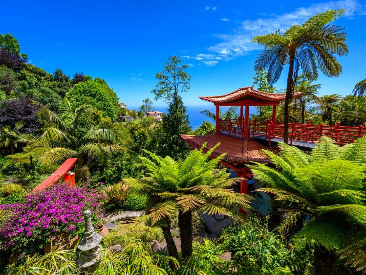 Funchal Madeira HAL