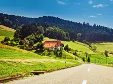 zwarte woud in duitsland 749x562.webp