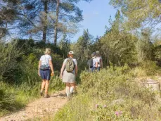Wandelaars tijdens de Wandel 4-daagse in Mallorca 2