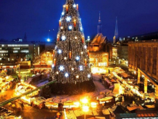De grootste kerstboom ter wereld