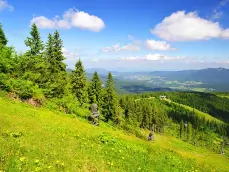 Hoofdbeeld Duitsland Bayerse Woud homepage