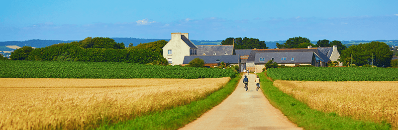 800x250 beeld algemene informatie fietsvakanties - fietsroutes.png
