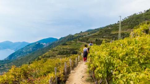 wandel-en-excursiereis-cinque-terre