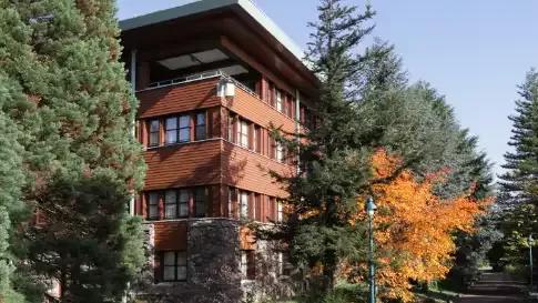 disney-sequoia-lodge-magisch-arrangement
