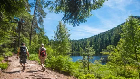 Wandelaars in het Zwarte Woud, Herrenwieser See in Duitsland