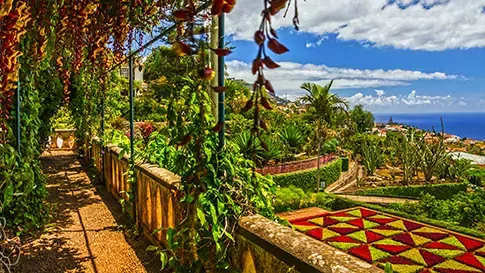 Portugal-Madeira Funchal  Botanische tuinen