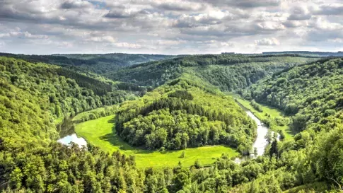 Uitzicht over de bossen van de Ardennen in België