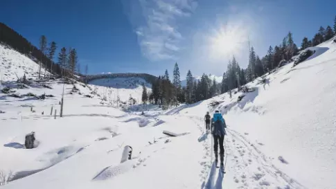 Langlaufen, skiën in de besneeuwde bergen Wintersport Canada