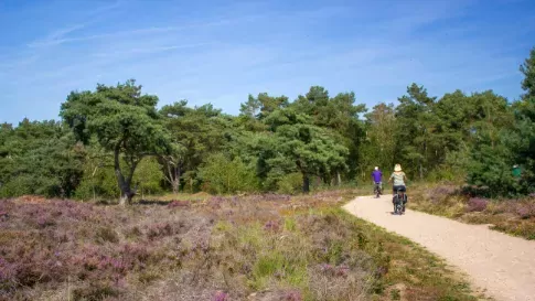 Fietsen door Nationaal Park de Maasduinen in Limburg, Nederland