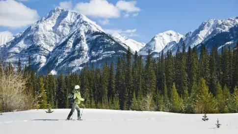 Langlaufen in de sneeuw bij Banff National Park, Wintersport Canada