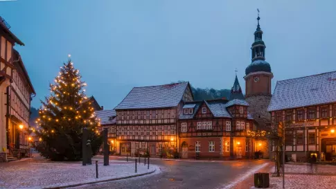 Kerstboom, Harz, Stolberg, Duitsland
