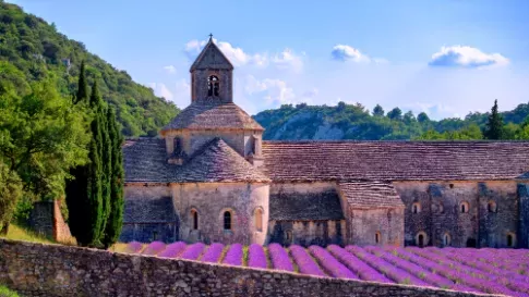 Paarse lavendervelden bij klooster Senanque in Provence, Frankrijk