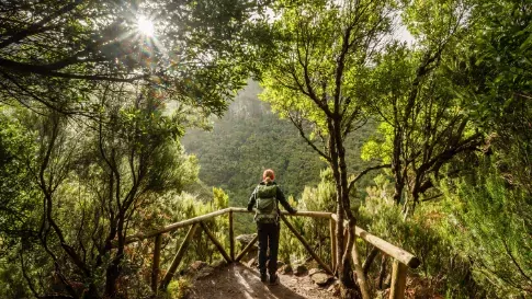 Wandelaar in het Rabacal bos op Madeira, Portugal