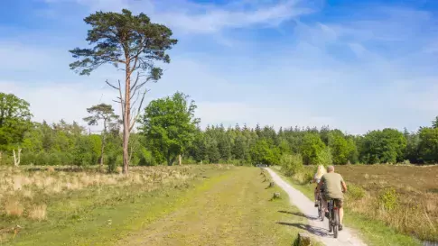 Fietsen door bossige gebieden in Drenthe, Nederland
