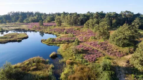 Haterse en Overasseltse Vennen dichtbij Nijmegen, Gelderland, Nederland