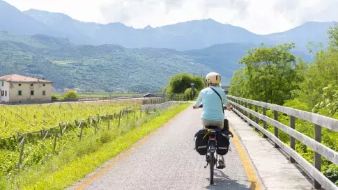 Fietsen in de bergen, langs wijngaarden in de Dolomieten, Zuid-Tirol, Italië