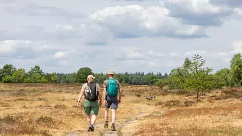 Wandelaars in de natuur bij Molenveld in Odoorn, Drenthe in Nederland