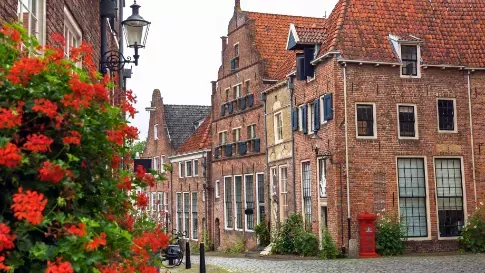 Rode bloemen bij oude huizen in Deventer in Overijssel, Nederland