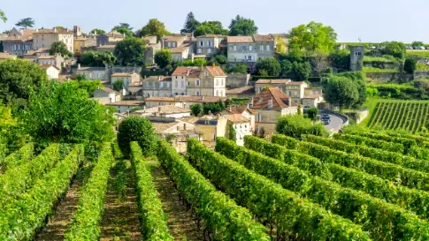 Wijngaarden in Saint Emilion in Bordeaux in Frankrijk