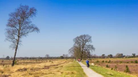 fietsen-door-giethoorn-en-drie-nationale-parken
