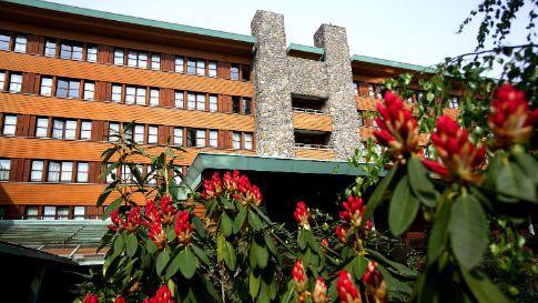 busreis-disney-sequoia-lodge-magisch-arrangement
