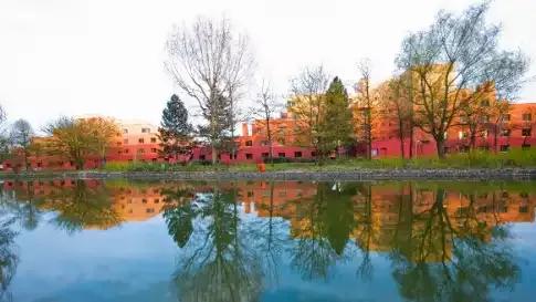 disney-hotel-santa-fe-magisch-arrangement