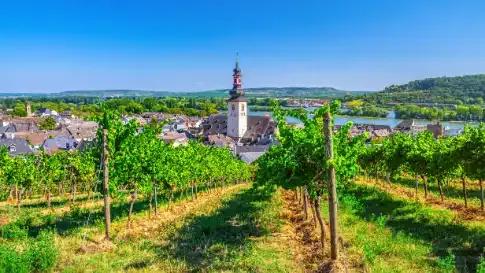 riviercruise-beleef-de-rijnromantiek-naar-rudesheim