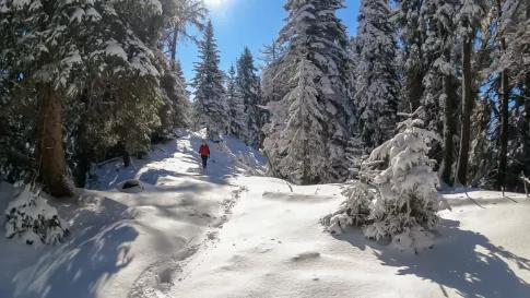 winterwandelreis-karinthie