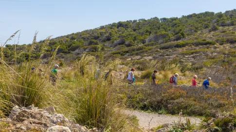 wandel-4-daagse-marbella-hotel-monarque-el-rodeo