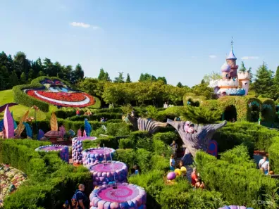 Alice's Curious Labyrinth