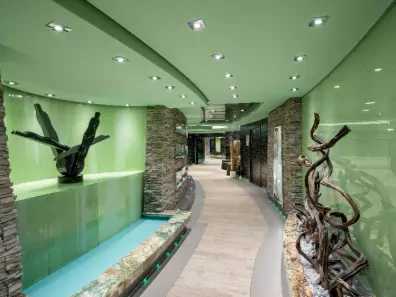 Fantasia spa