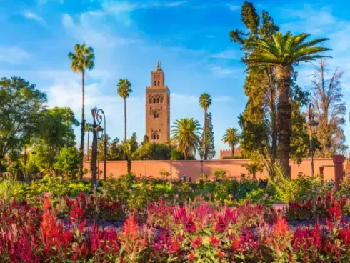 MA-Marrakesh-tuin-met-Koutoubia-moskee