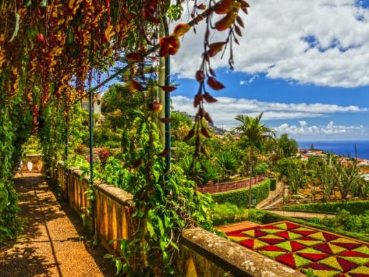 Botanische tuinen in Funchal