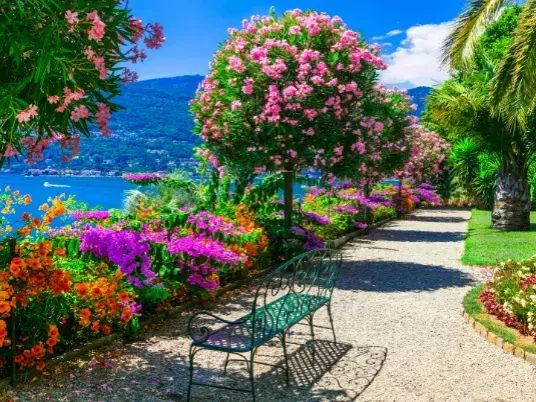 Prachtige bloemen bij het Lago Maggiore in Italië