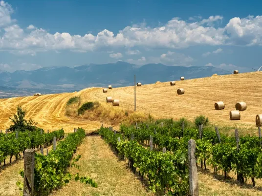 Italië - Calabrie 