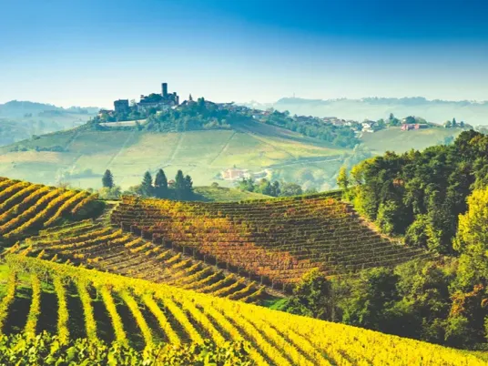 Italië - Wijnvelden in Piemonte