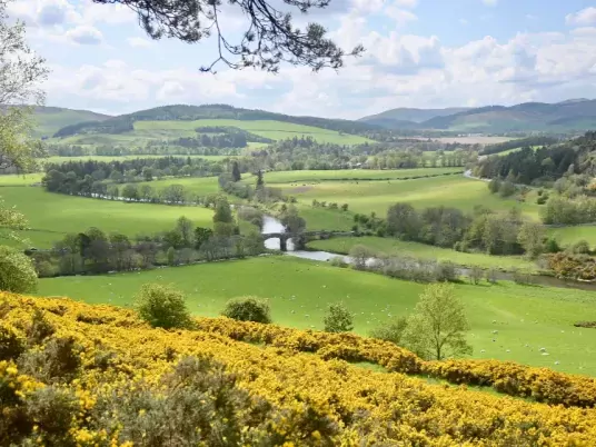 Schotland - Tweed Valley